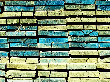 Trunk section texture (ID:ffaeg36383)