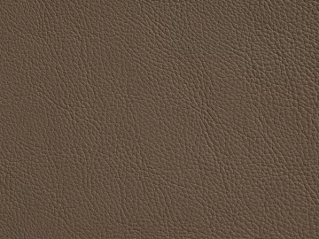 Coarse-grain leather texture (ID:ffadg99809)