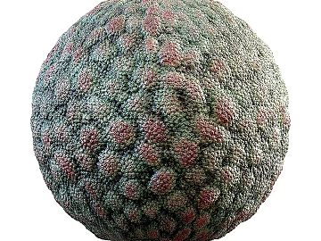 Biological PBR texture (ID:ffach619994)