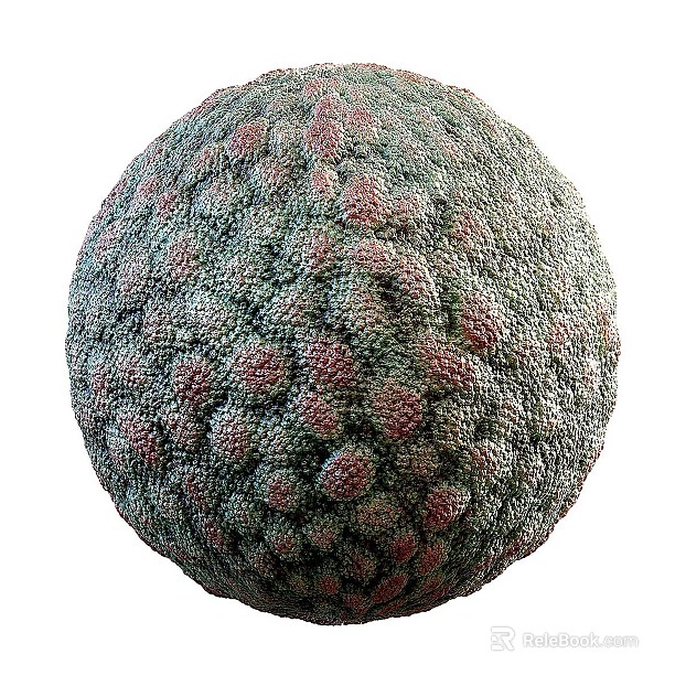 Biological PBR texture