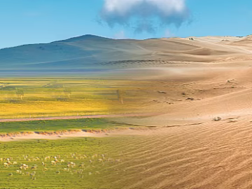 Wild Scenery texture (ID:ffaeg18409)