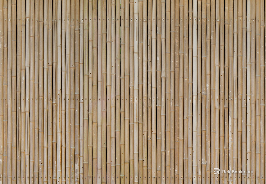 Bamboo texture