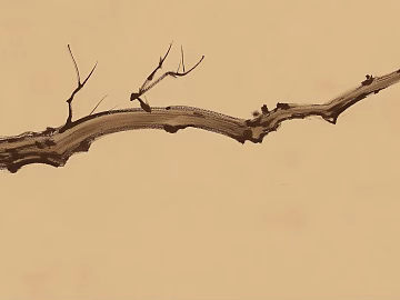 Chinese-style banner painting texture (ID:ffaeh487232)
