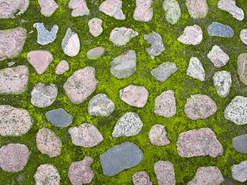 grass-planting brick texture (ID:ffach006290)