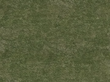 Turf texture (ID:ffacg01710)