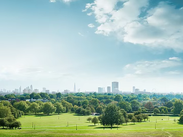 Fresh Green City Park Exterior texture (ID:ffaeh034524)
