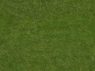 Turf texture (ID:ffagg86798)