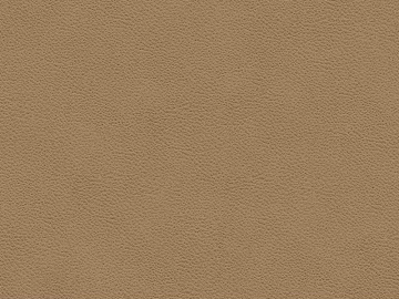 fine grain leather texture (ID:ffacg61860)