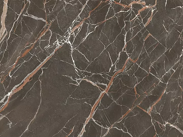 Dark Gray Mesh-Patterned Marble for Interior Wall Surfaces texture (ID:ffaeh245134)