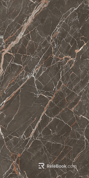 Dark Gray Mesh-Patterned Marble for Interior Wall Surfaces texture