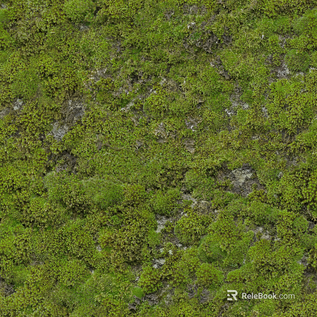 moss texture