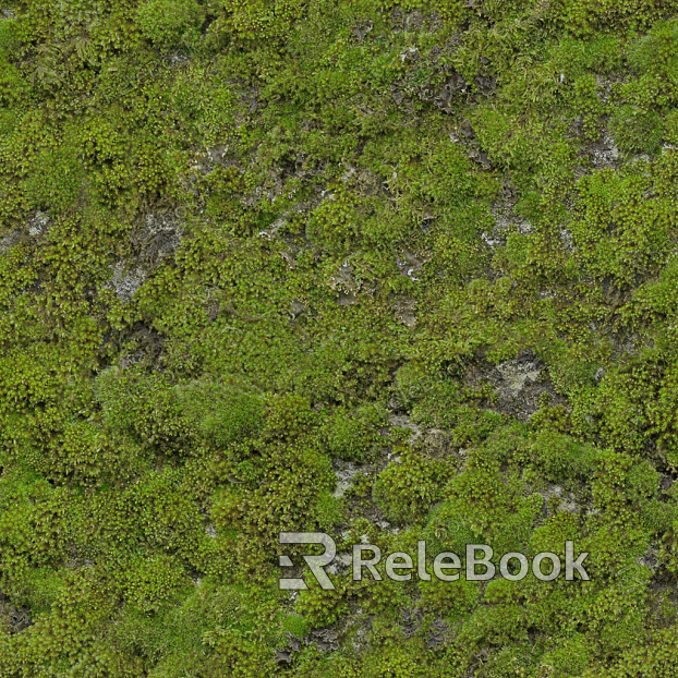 A moss-covered stone pathway winds through a lush, green forest, dotted with ferns and tall trees, creating a serene and enchanting atmosphere.