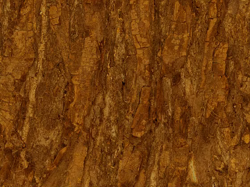 bark texture (ID:ffacg45967)