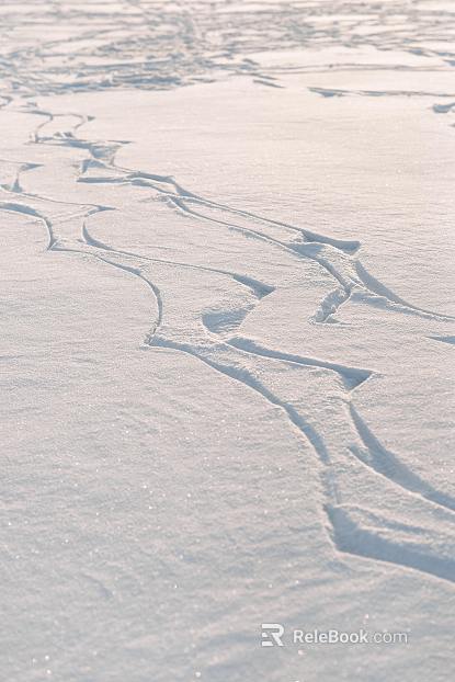 Snow texture