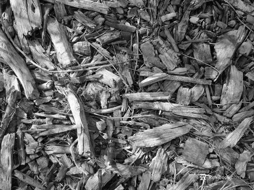 Black and White Bump texture