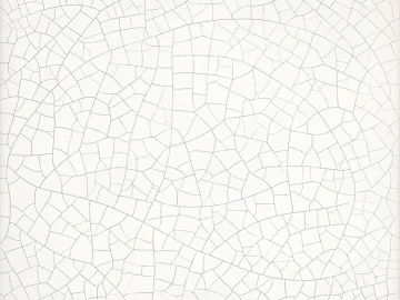 ice crack porcelain texture (ID:ffaag81020)