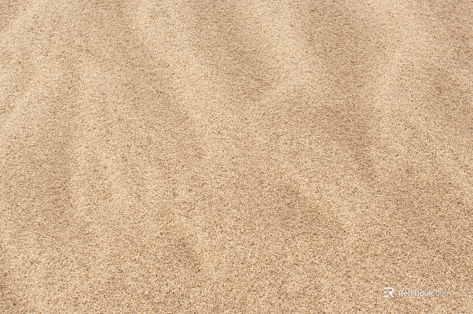 sand sand sea desert sand beach sand beach texture