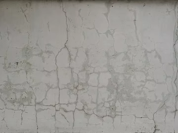 White gray wall texture (ID:ffagg88736)