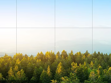 Wild Scenery 3d model