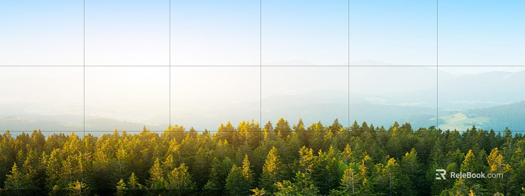 Wild Scenery texture
