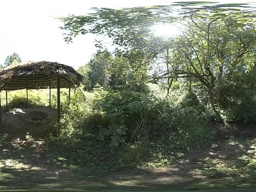 outdoor forest landscape daytime hdr texture (ID:ffabg50641)