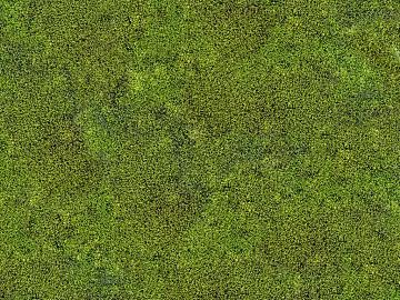 Turf 3d model