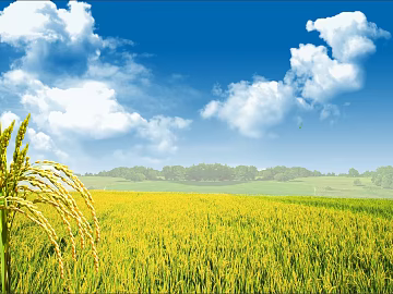Pastoral scenery texture (ID:ffaeg68040)