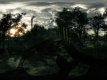 Overcast Evening Forest HDR texture (ID:ffach535663)