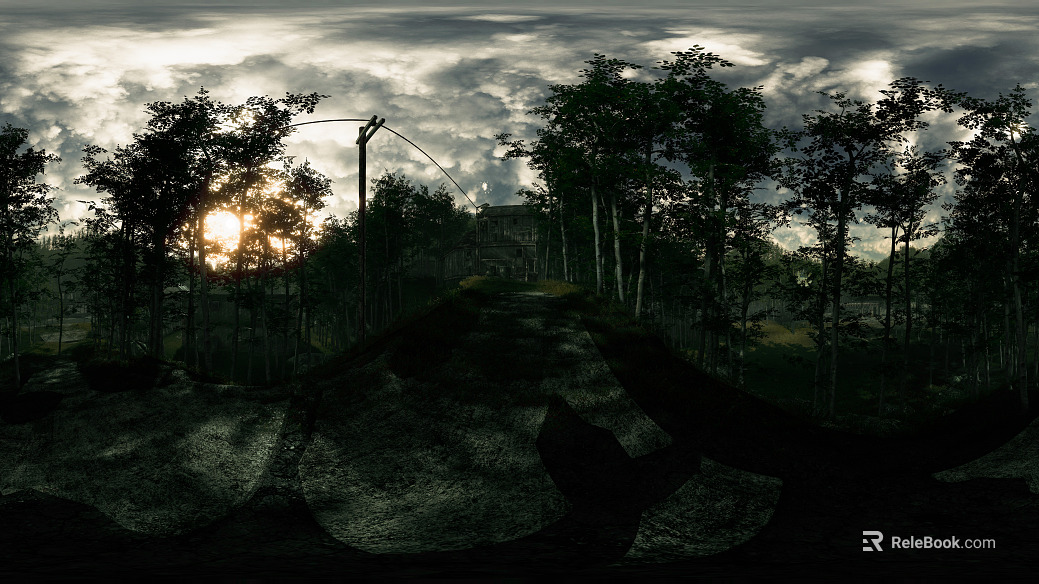 Overcast Evening Forest HDR texture