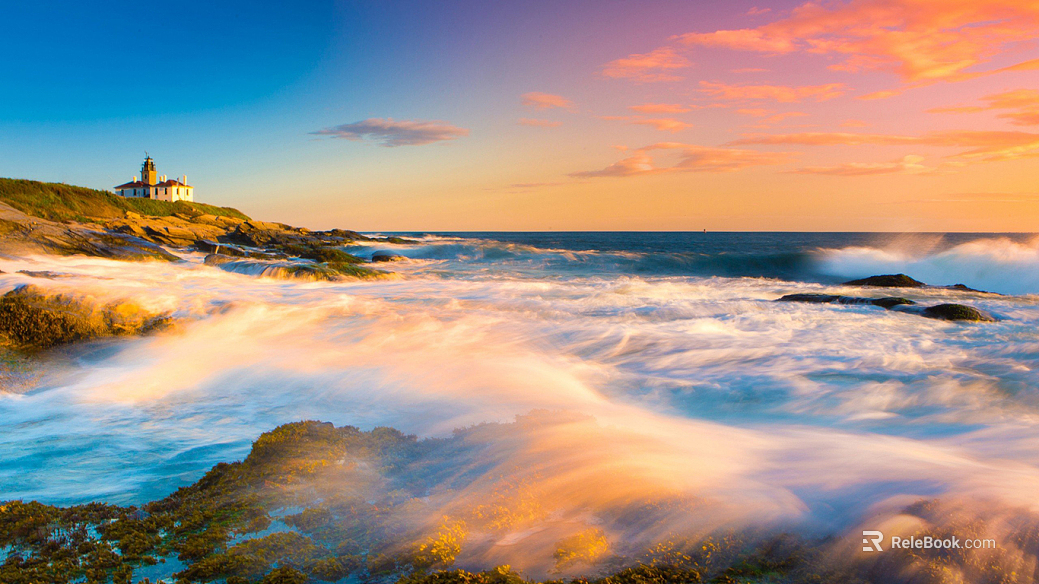 Wild Scenery texture