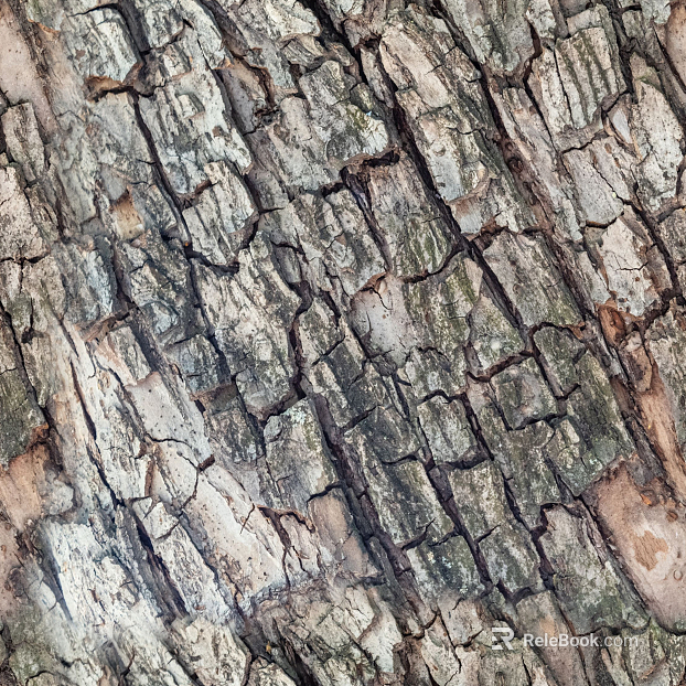 Wooden bark wood veneer wood wood bark trees texture
