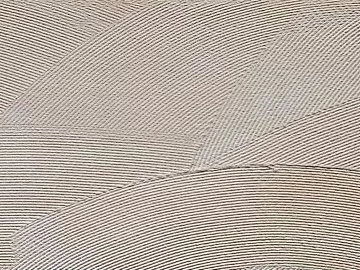 diatom mud texture (ID:ffacg15647)