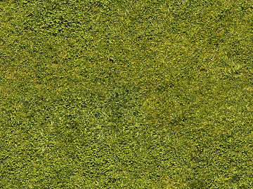 Turf texture (ID:ffacg55392)