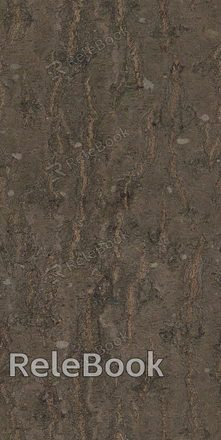 A close-up of weathered, rough bark on a tree trunk, with moss and lichen growth, showcasing nature's intricate textures and patterns.