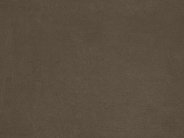 fine grain leather texture (ID:ffaeg24270)