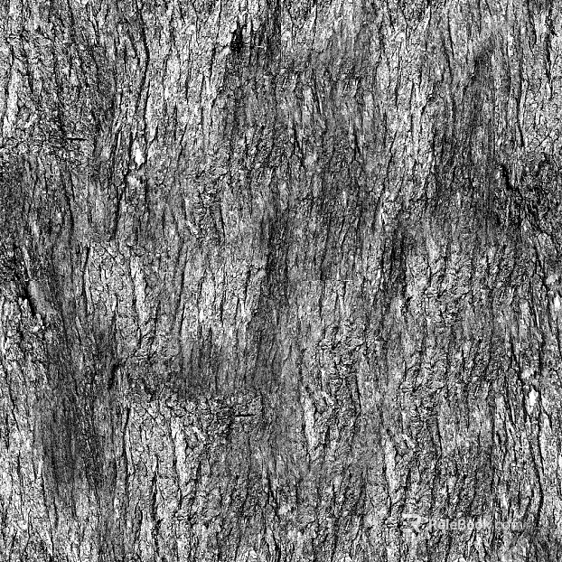 ancient tree bark texture