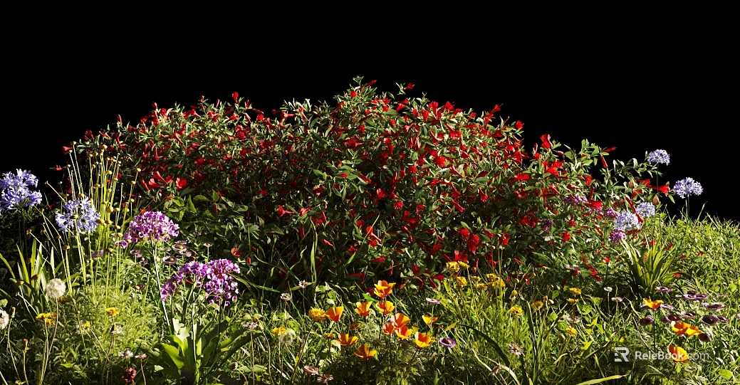 Multi-color mixed flower courtyard landscaping texture