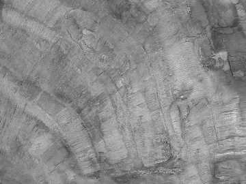 running water pattern marble texture (ID:ffagg75501)