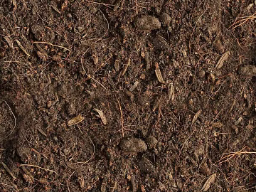Mud texture (ID:ffaag22679)