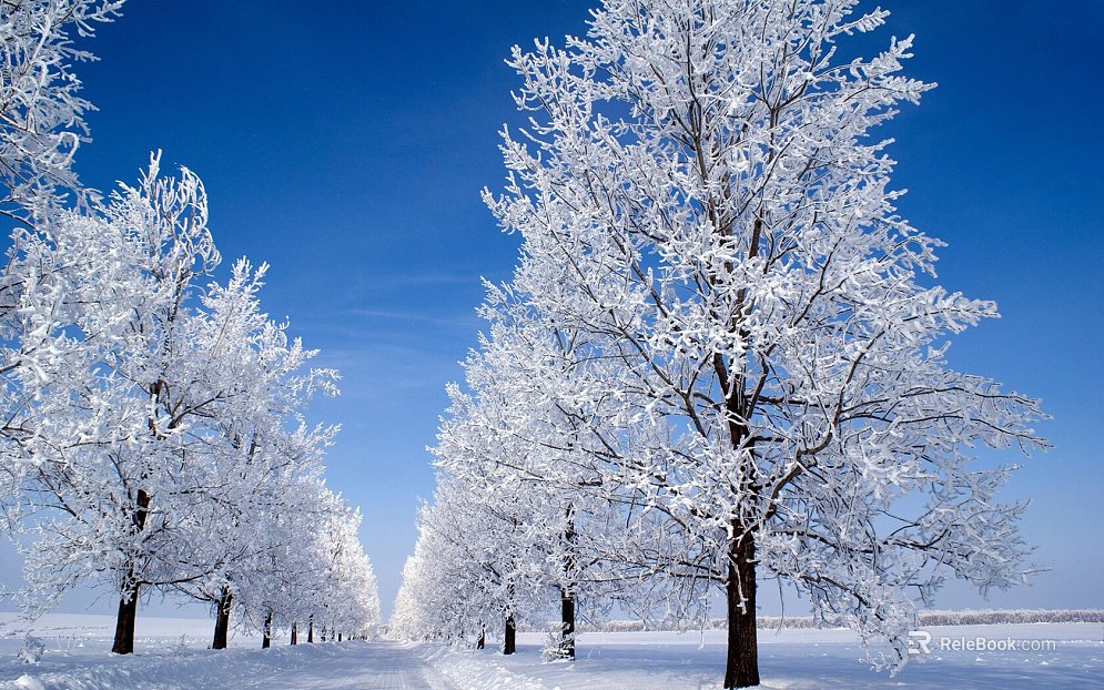 Snow texture
