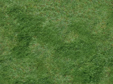 Turf texture (ID:ffaeg03630)