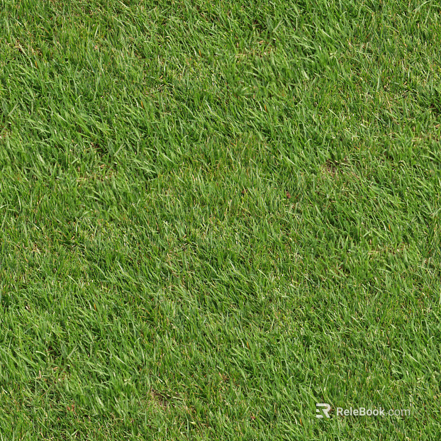 Turf ground texture