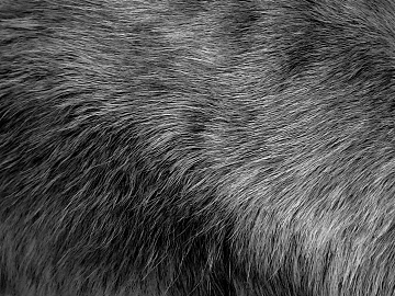 Black and White Bump texture (ID:ffabg96680)