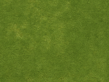 Turf texture (ID:ffajg48747)