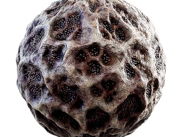 Biological PBR texture (ID:ffach011994)