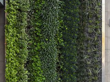 Plant wall texture (ID:ffagg11229)