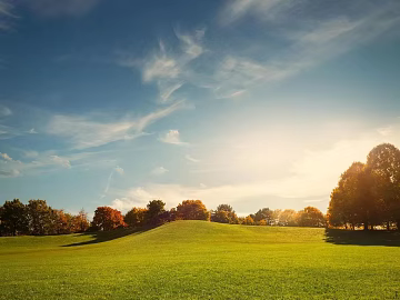 Wild Scenery texture (ID:ffach207673)