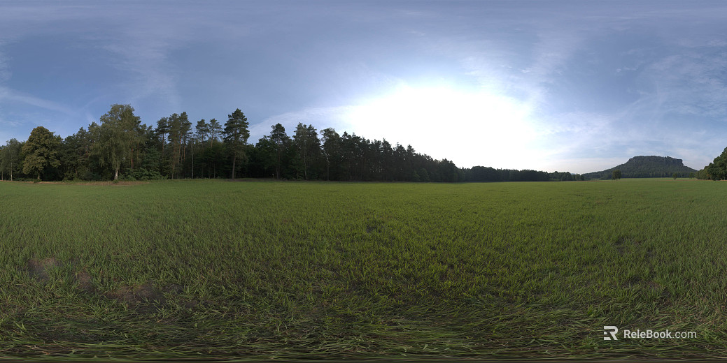Outdoor Lawn Park HDR texture