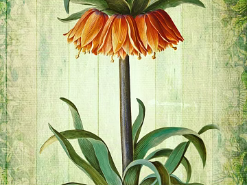 Plant painting texture (ID:ffaag10062)