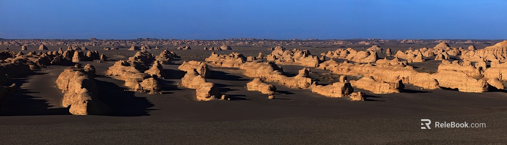Desert texture